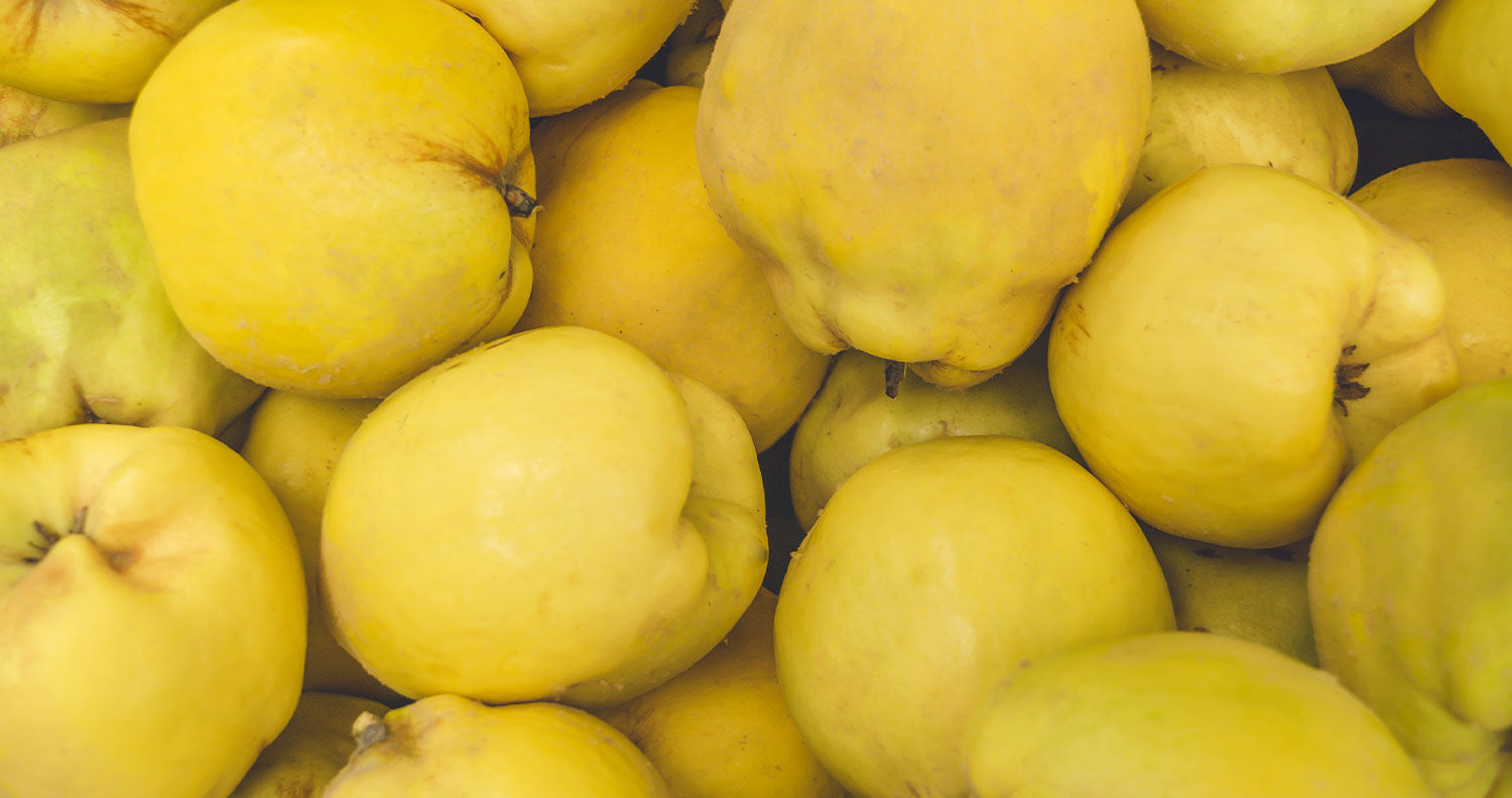 Ayva Suyu Konsantresi